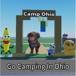 GO CAMPING IN OHIO