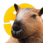 Capybara simulator studio