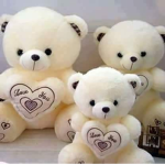 The Teddy's Group