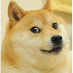 Doggo group!!!!