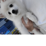 휴지