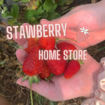 stawberry aesthetic home store