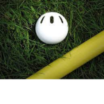Junes Wiffle Ball League