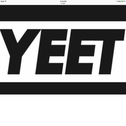 THE YEETING GROUP'S LAME OBBY
