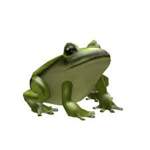 : FROG CULT :
