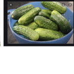 Pickle love