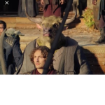 Fans del torito de el multiverso de dr strange
