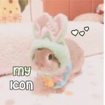 my icon