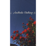 (: Aesthetic Clothing :)