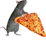 Rat Hang out (Rats Only