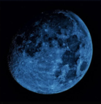 ArcticMoon
