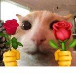 for my bby grils ahhhh