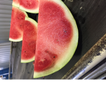 Watermelon yasssssssss