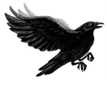 Black Raven Empire