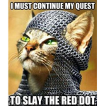 The Kitten Field Army