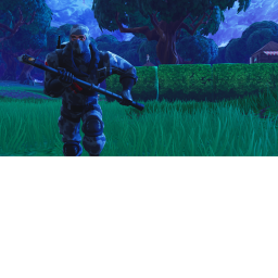 kill the sherk