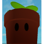 The Cult Of The Pots