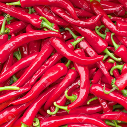 Hot Relish Hangout (update)