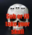 Skullzky Official Group.