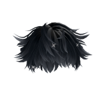 Messy Black Hair With Stars