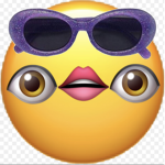 The Baddie Wiggies