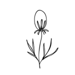 Asphodel International