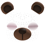 ♡ bear blush filter