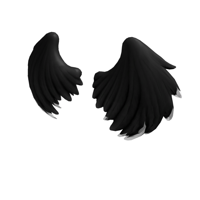 Black Angel Wings