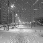 ~_snowcat community_~