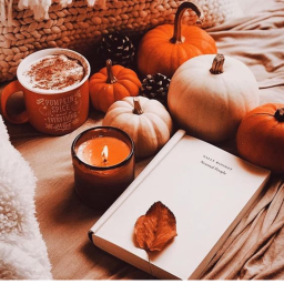 𝐯𝐢𝐛𝐞𝐬 🎃 . • .