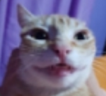 Oof noodle