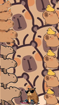 CapyPlayz