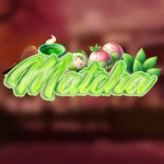 Aokomi Matcha