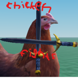 chicken fights