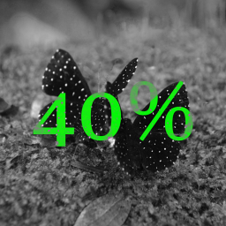 40% CASH BACK