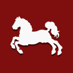 Husaren Regiment "des Prinzregenten" von Estroff