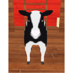 Cut In Line To See The Cow!