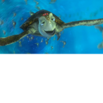 I like turtles lol xd