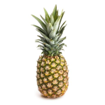 •Pineapple Squad•