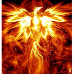 Official fire group