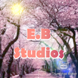 E.B Studios - Meetings.