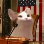 League Of Popcat's