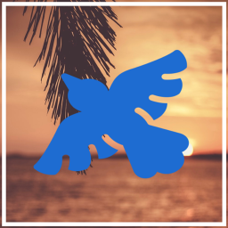 Blue Air flight planner (work best on pc and ipad)