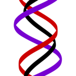 Triple Helix