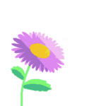 FLORALS (for life)