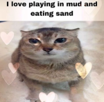 Mei Mei's Sanctuary