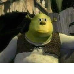 shreks mcdonalds