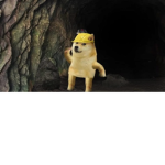 I cant find a name no no