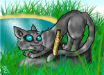 jaypaw/fether x stick fans