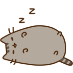 Pusheen's Studio